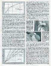 beri_3.jpg (14200 Byte)