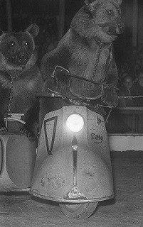 Pitty mit Seitenwagen